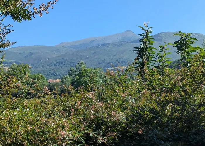 Relax * 亚斯凯恩